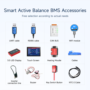 100Balance Active Balance BMS Accessories